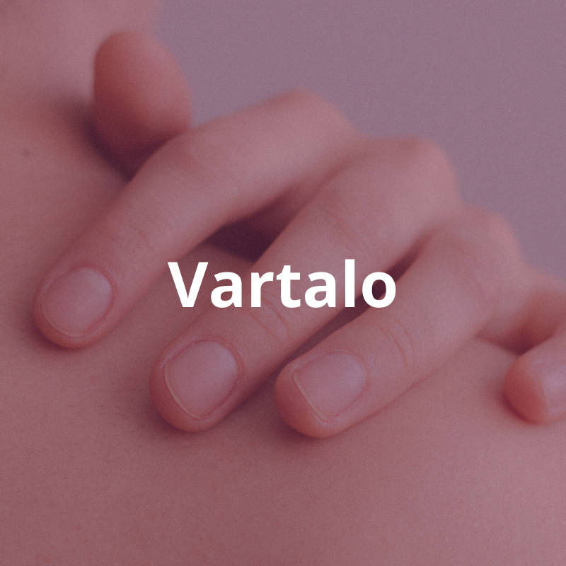 Tuoteryhmä: Vartalo