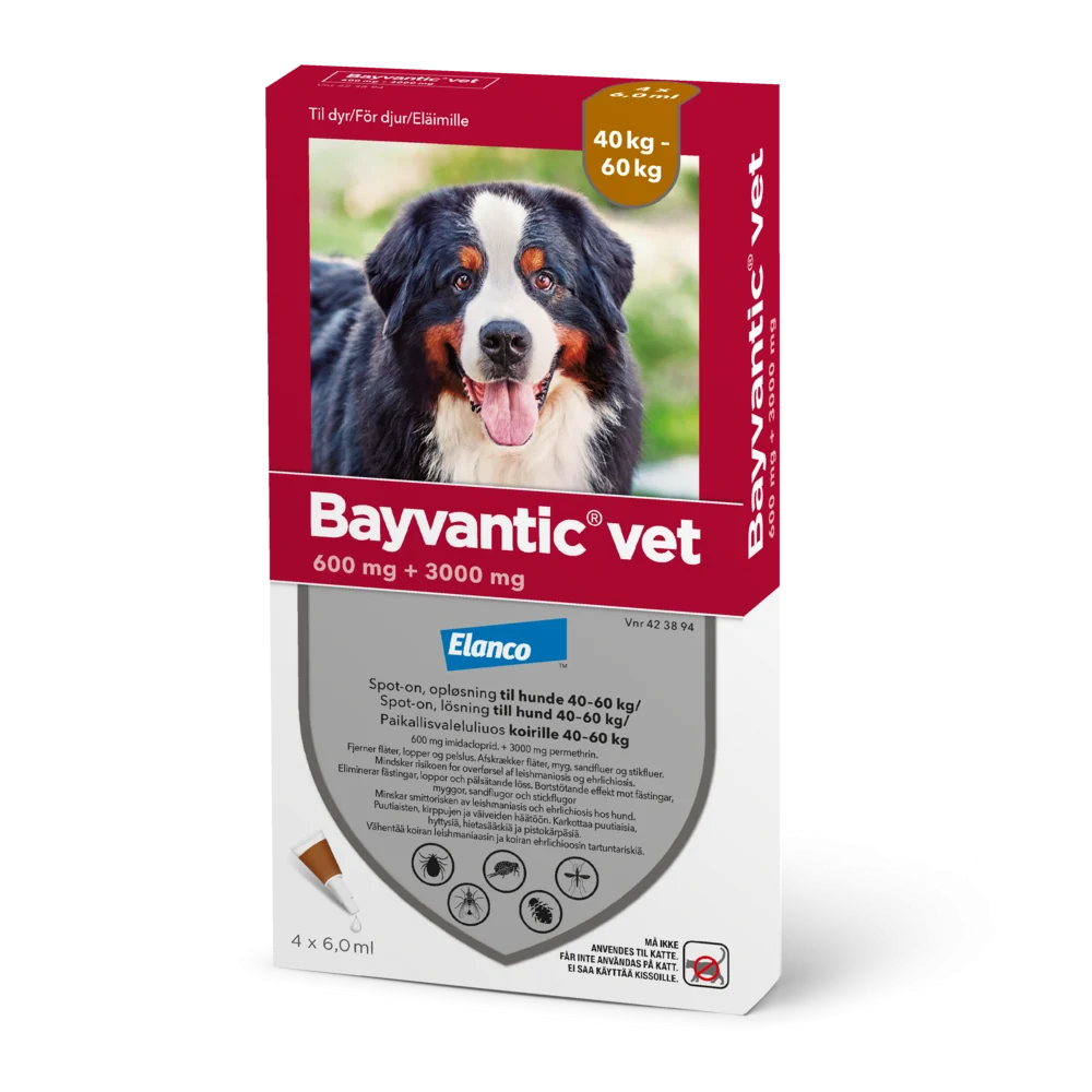 Bayvantic Vet 40-60 kg koirille- 600/3000 mg/ml