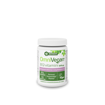 OmniVegan B12-vitamiini 500 mikrog 120 tabl huom päiväys 31.1.2024