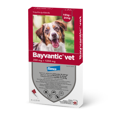 Bayvantic Vet 10-25 kg koirille - 250/1250 mg/ml