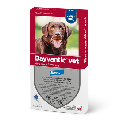 Bayvantic Vet 25-40 kg koirille - 400/2000 mg/ml