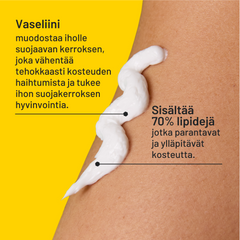 Locobase Protect 100  / 350 g - Apteekkiplus.fi