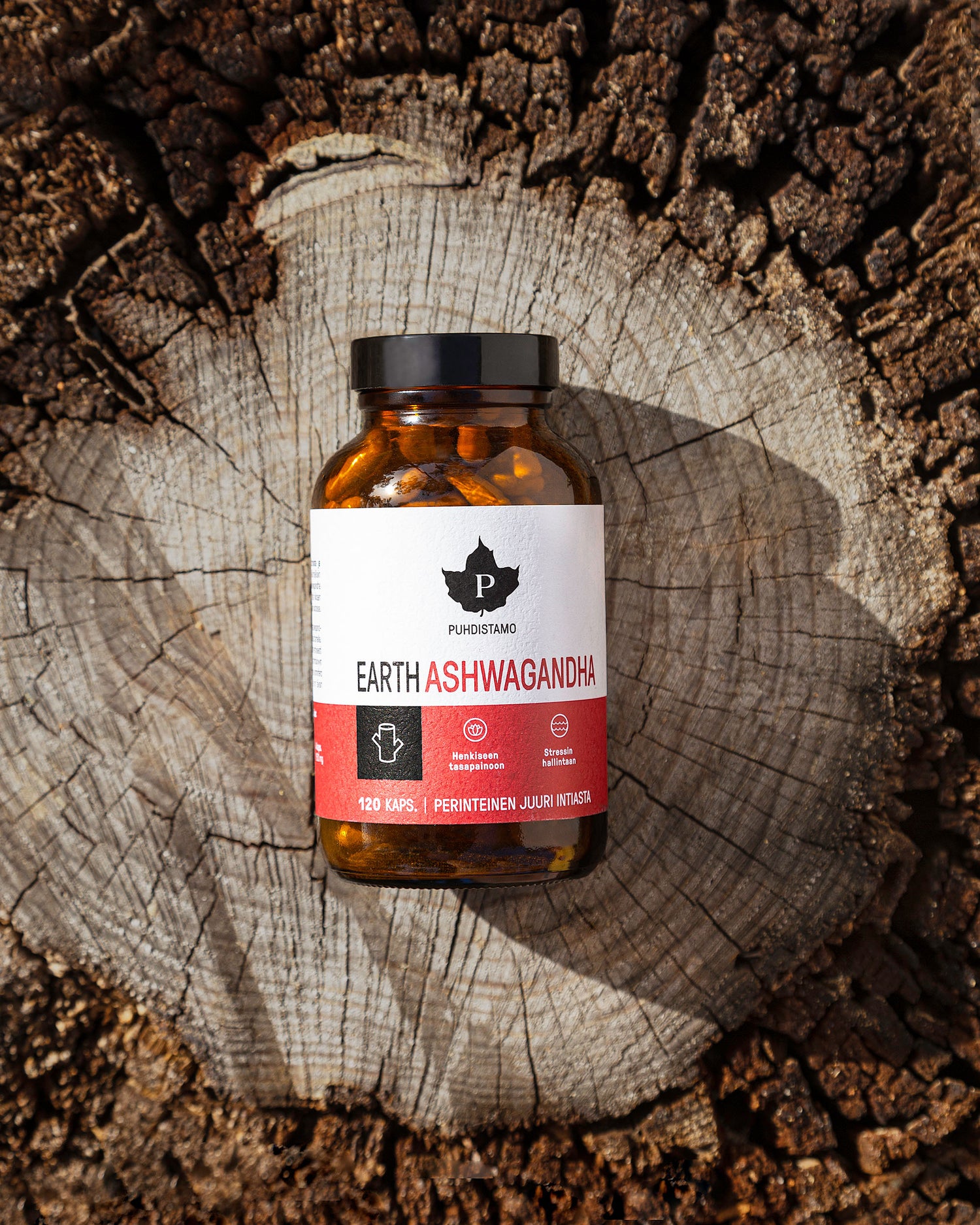 Puhdistamo EARTH Ashwagandha 120 kaps