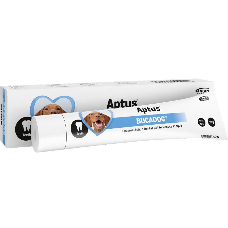 Aptus Bucadog hammasgeeli koirille